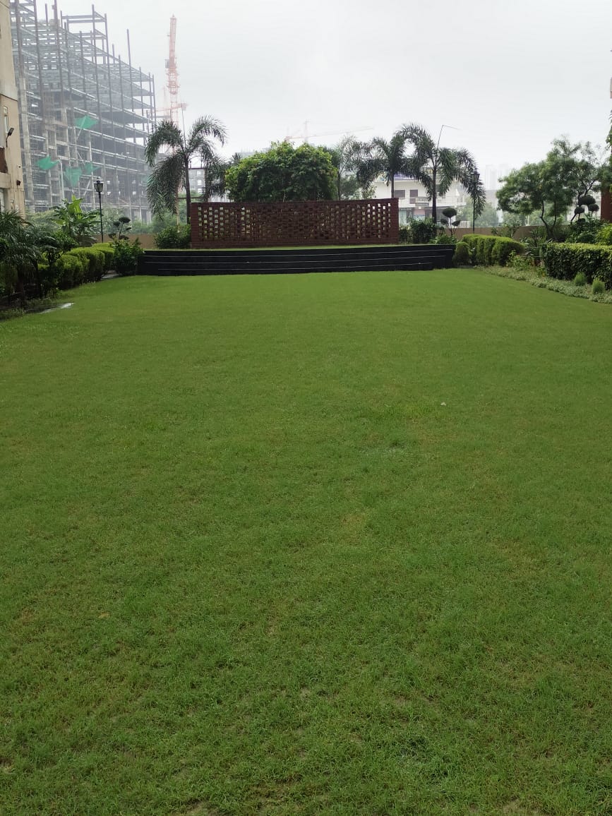 Garden Area